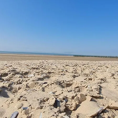 O De Vents - A 30m De La サンガット